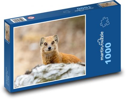 Mangusta - predator, Africa - Puzzle 1000 pieces, size 60x46 cm 