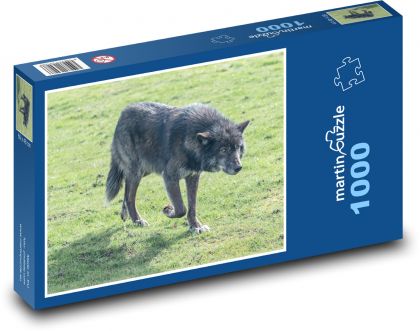 Wolf - Raubtier, Tier - Puzzle - 1000 Teile