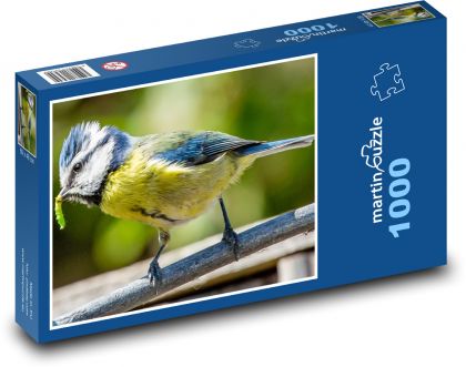 Sýkorka modřinka - pták, peří - Puzzle 1000 dílků, rozměr 60x46 cm