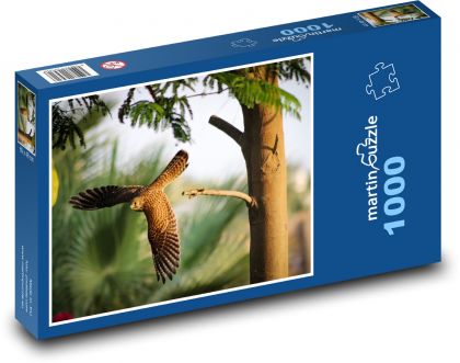 Polowanie na pustułkę - ptak latający - Puzzle 1000 elementów, rozmiar 60x46 cm