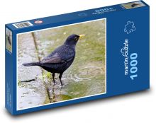 Kos v louži - pták, zvíře  Puzzle 1000 dílků - 60 x 46 cm