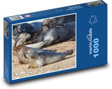 Tuleň - mládě, zvíře Puzzle 1000 dílků - 60 x 46 cm