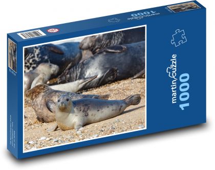 Tuleň - mládě, zvíře - Puzzle 1000 dílků, rozměr 60x46 cm
