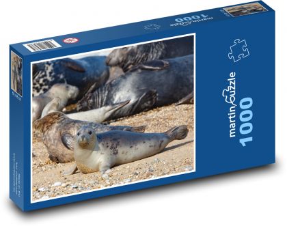 Siegel - Jungtier, Tier - Puzzle - 1000 Teile