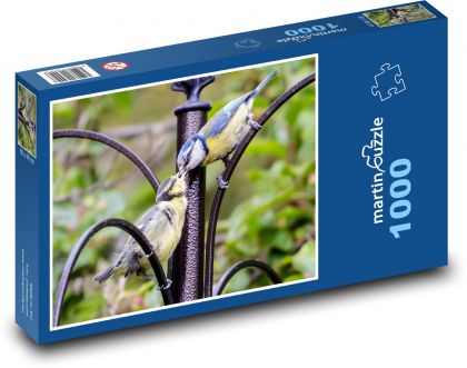 Sýkorka - pták, peří - puzzle 1000 dílků