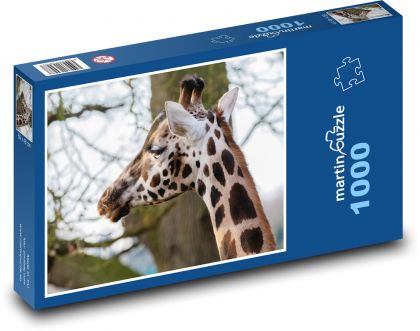 Żyrafa - rogi, długa szyja - Puzzle 1000 elementów, rozmiar 60x46 cm