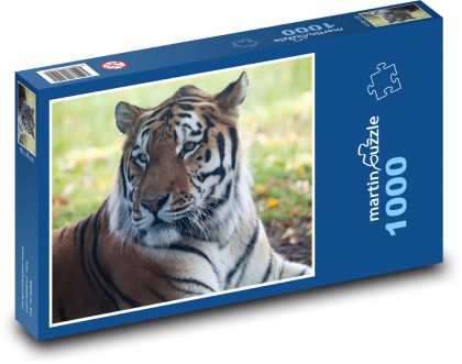 Tygr amurský - dravec, lovec  - Puzzle 1000 dílků, rozměr 60x46 cm