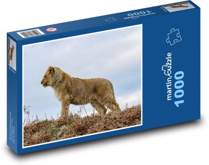 Lvíče - mládě, lev - Puzzle 1000 dílků, rozměr 60x46 cm