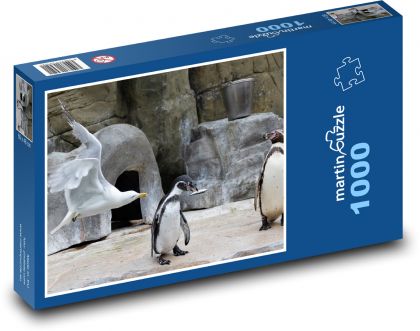 Tučniak - čajka, zvieratá - Puzzle 1000 dielikov, rozmer 60x46 cm