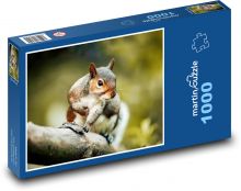 Veverička - hlodavec, zviera Puzzle 1000 dielikov - 60 x 46 cm 