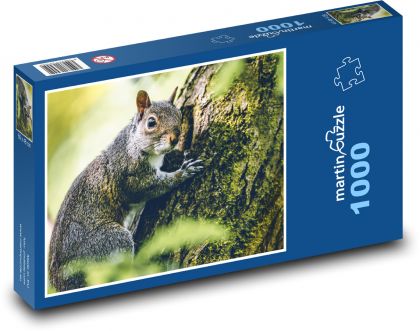 Veverička - zviera, les - Puzzle 1000 dielikov, rozmer 60x46 cm