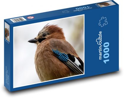 Sojka - vták, zviera - Puzzle 1000 dielikov, rozmer 60x46 cm