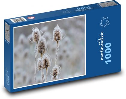 Teasel - rostlina, zima - Puzzle 1000 dílků, rozměr 60x46 cm