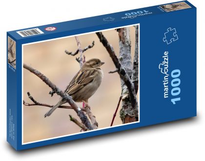 Spatz - Gartenvogel, Frühling - Puzzle - 1000 Teile