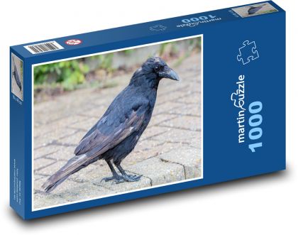 Stará vrána - pták, zvíře - puzzle 1000 dílků