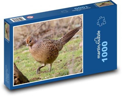 Slepice bažanta - pták, zvíře - Puzzle 1000 dílků, rozměr 60x46 cm
