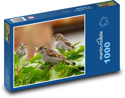 Wróbel - ptak, dziób - Puzzle 1000 elementów, rozmiar 60x46 cm