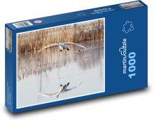 Letící labuť - pták, voda Puzzle 1000 dílků - 60 x 46 cm