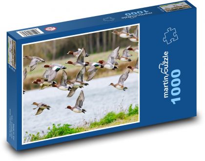 Latające kaczki - ptaki, jezioro - Puzzle 1000 elementów, rozmiar 60x46 cm