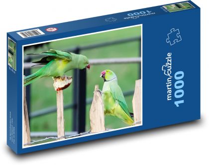 Papoušci na plotě - boj, ptáci - Puzzle 1000 dílků, rozměr 60x46 cm