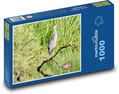 Volavka popelavá - pták, jezero - Puzzle 1000 dílků, rozměr 60x46 cm
