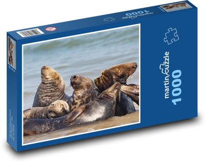 Tuleň obyčajný - zvieratá, more - Puzzle 1000 dielikov, rozmer 60x46 cm