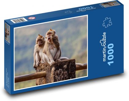 Makak - opice, zvířata - Puzzle 1000 dílků, rozměr 60x46 cm