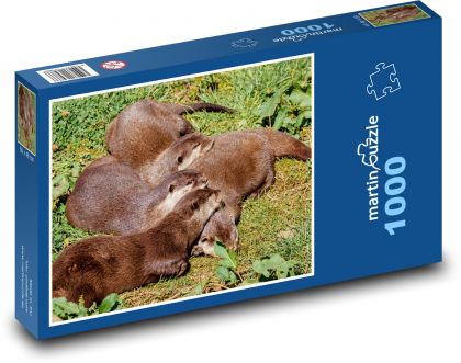 Śpiące wydry - zwierzęta, odpoczywające - Puzzle 1000 elementów, rozmiar 60x46 cm