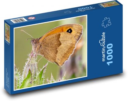 Motýľ - okáč lúčny, hmyz - Puzzle 1000 dielikov, rozmer 60x46 cm