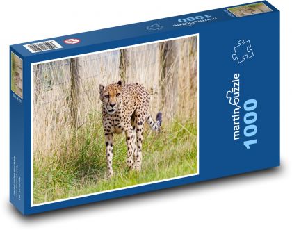 Cheetah - big cat, hunting - Puzzle 1000 pieces, size 60x46 cm 