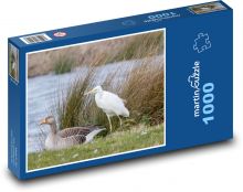 Volavka bílá - brodivý pták, jezero Puzzle 1000 - 60x46 cm