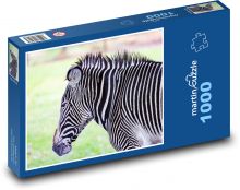 Zebra - Safari, pruhy Puzzle 1000 dílků - 60 x 46 cm