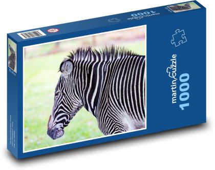 Zebra - Safari, pruhy - Puzzle 1000 dílků, rozměr 60x46 cm