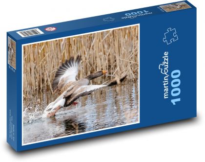 Lietajúci hus - vták, letieť - Puzzle 1000 dielikov, rozmer 60x46 cm