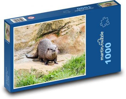 Vydra, zoo, zvíře - Puzzle 1000 dílků, rozměr 60x46 cm