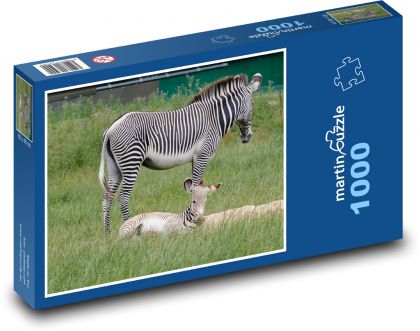 Zebra - cub, Africa - Puzzle 1000 pieces, size 60x46 cm 