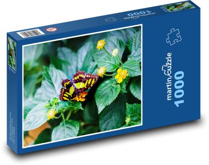 Green butterfly - flower, insect - Puzzle 1000 pieces, size 60x46 cm 