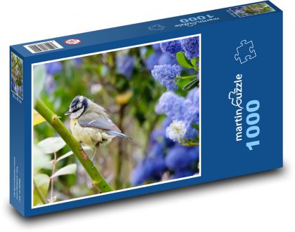 Modraszka - mały ptak, żerujący - Puzzle 1000 elementów, rozmiar 60x46 cm