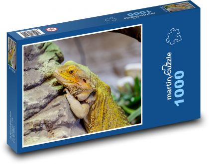 Agama - brodaty smok, gad - Puzzle 1000 elementów, rozmiar 60x46 cm