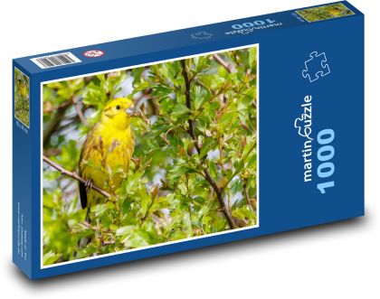Gelber Vogel - Singvogel, Vogel auf einem Baum - Puzzle - 1000 Teile
