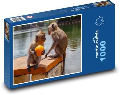 Makak a pomeranč - opice, voda - Puzzle 1000 dílků, rozměr 60x46 cm