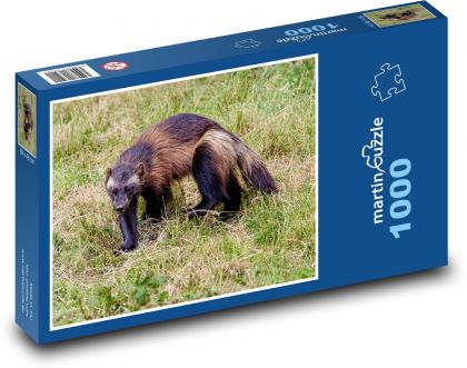 Rosomák - masožravec, dravec - Puzzle 1000 dílků, rozměr 60x46 cm