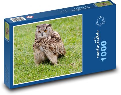 Noční sova - dravec, lovec - puzzle 1000 dílků