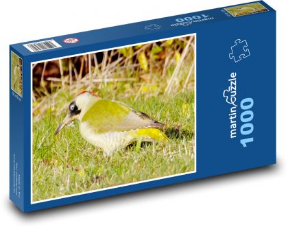 Zelený ďateľ - žluna zelená, vták - Puzzle 1000 dielikov, rozmer 60x46 cm