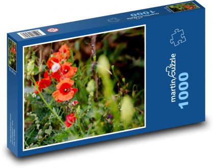 Roter Mohn - Blumen, Feld - Puzzle - 1000 Teile