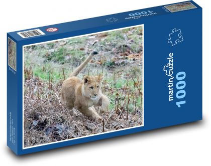 Lvíče - mladý lev, dravec - Puzzle 1000 dílků, rozměr 60x46 cm