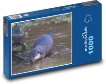 Vydra - voda, zvíře Puzzle 1000 dílků - 60 x 46 cm