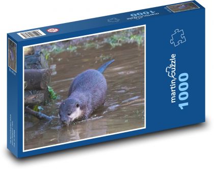 Vydra - voda, zvíře - Puzzle 1000 dílků, rozměr 60x46 cm
