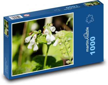 Divoká rostlina - bílé květy, jaro - Puzzle 1000 dílků, rozměr 60x46 cm