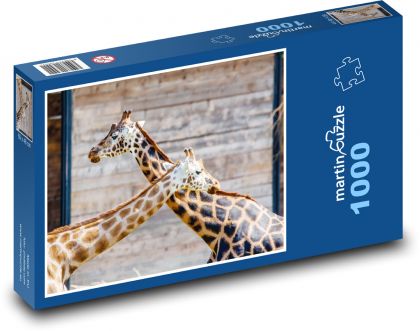 Žirafy - zvířata, pár - Puzzle 1000 dílků, rozměr 60x46 cm